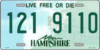 NH license plate 1219110