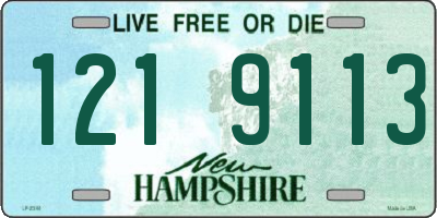 NH license plate 1219113