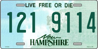 NH license plate 1219114