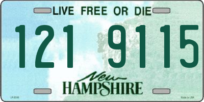 NH license plate 1219115