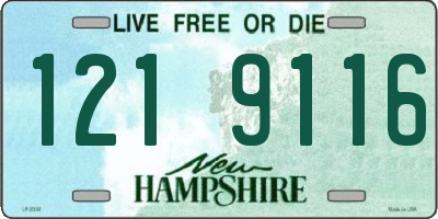 NH license plate 1219116