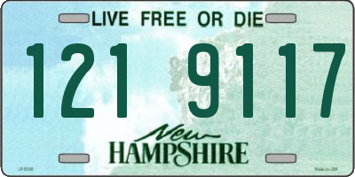 NH license plate 1219117