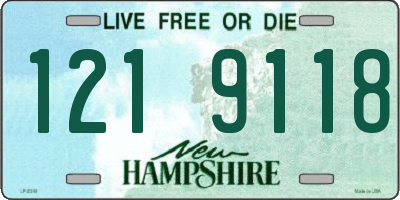 NH license plate 1219118