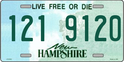 NH license plate 1219120