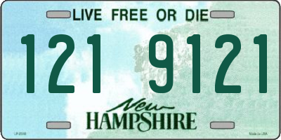 NH license plate 1219121