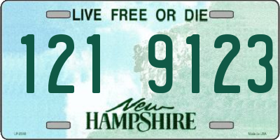 NH license plate 1219123