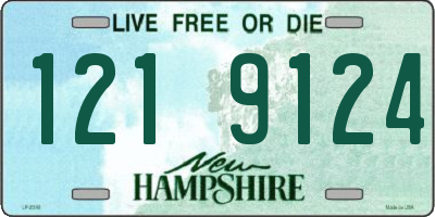 NH license plate 1219124