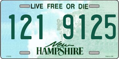 NH license plate 1219125