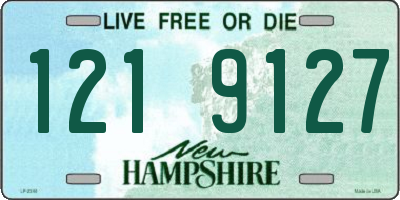 NH license plate 1219127