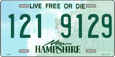 NH license plate 1219129