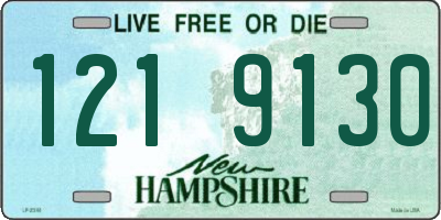 NH license plate 1219130