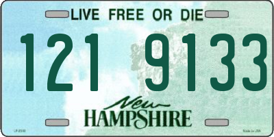 NH license plate 1219133