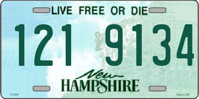 NH license plate 1219134