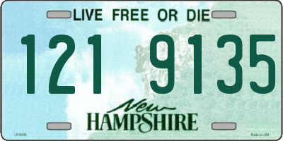 NH license plate 1219135