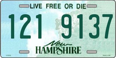 NH license plate 1219137