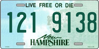 NH license plate 1219138