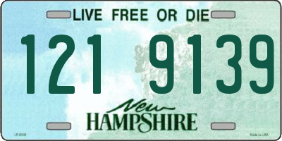 NH license plate 1219139