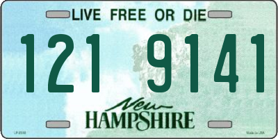 NH license plate 1219141