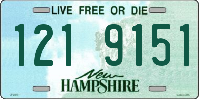 NH license plate 1219151