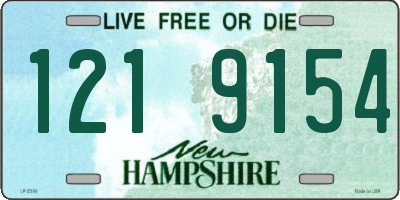 NH license plate 1219154