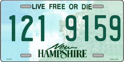 NH license plate 1219159