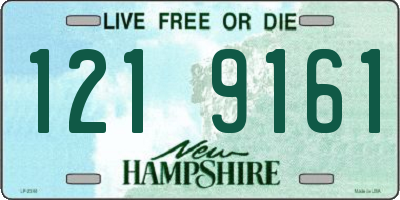 NH license plate 1219161