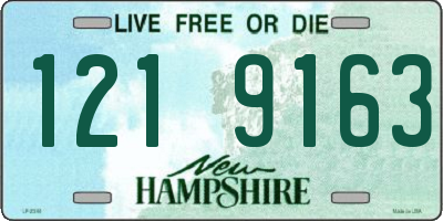 NH license plate 1219163