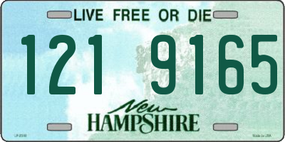 NH license plate 1219165