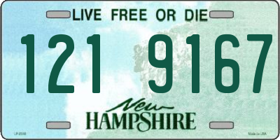 NH license plate 1219167