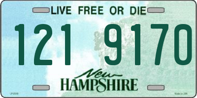 NH license plate 1219170