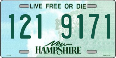 NH license plate 1219171