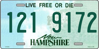 NH license plate 1219172