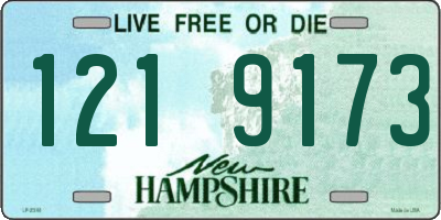 NH license plate 1219173