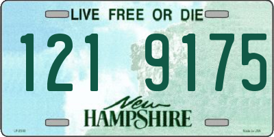 NH license plate 1219175