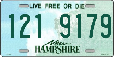 NH license plate 1219179