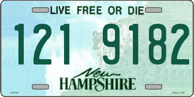 NH license plate 1219182