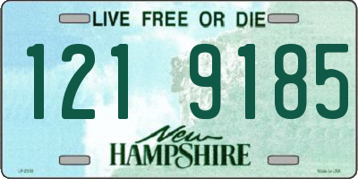 NH license plate 1219185