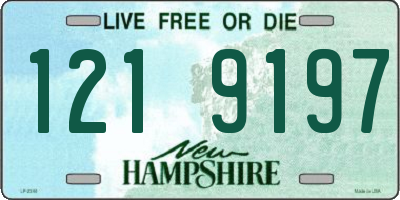 NH license plate 1219197