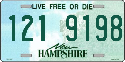 NH license plate 1219198