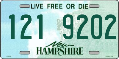 NH license plate 1219202