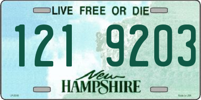 NH license plate 1219203