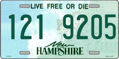 NH license plate 1219205