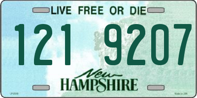 NH license plate 1219207