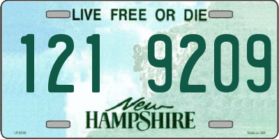 NH license plate 1219209