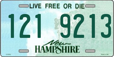 NH license plate 1219213