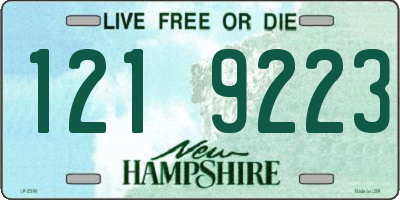 NH license plate 1219223