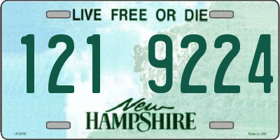 NH license plate 1219224