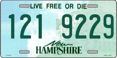 NH license plate 1219229