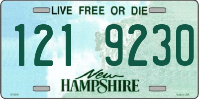 NH license plate 1219230