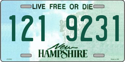 NH license plate 1219231